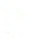 Podiatry